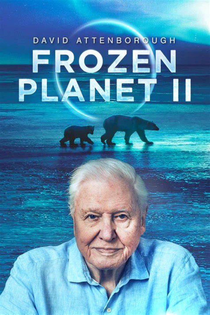 It's Complicated actor who narrated the scientific documentaries Journey to the Edge of the Universe and Frozen Planet: 2 wds.
