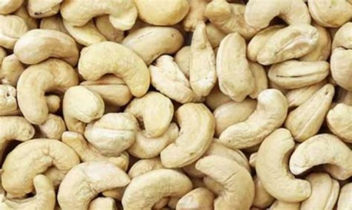 Kidney-shaped nut used in some vegan milk