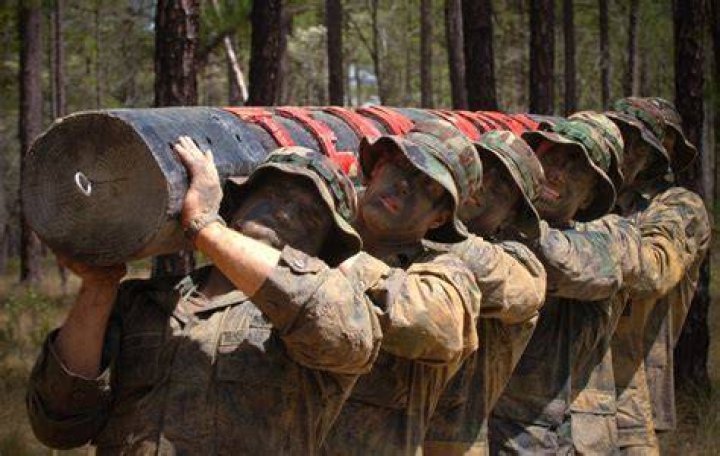 Military training group in college: Abbr.