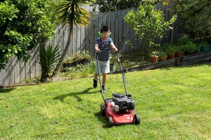 Should you mow without a catcher?