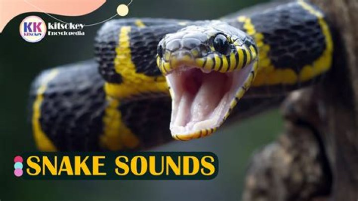 Snaky sound
