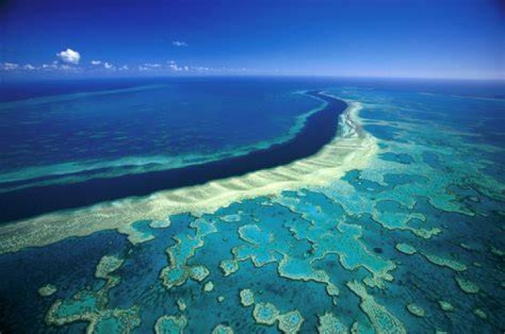 The Great Barrier ___