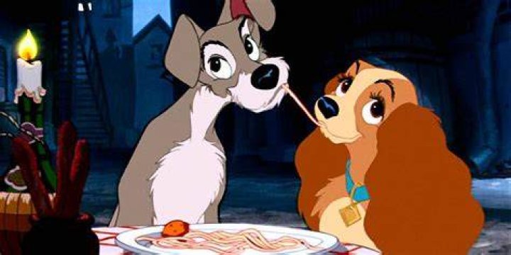 Tramp's romantic interest in a Disney movie