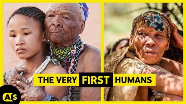What's the best human race in the world?