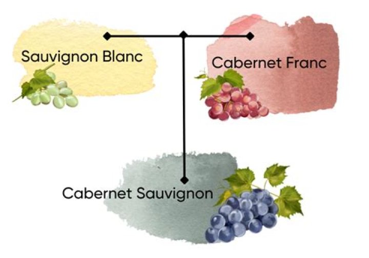 What's the difference between Sancerre and Sauvignon Blanc?