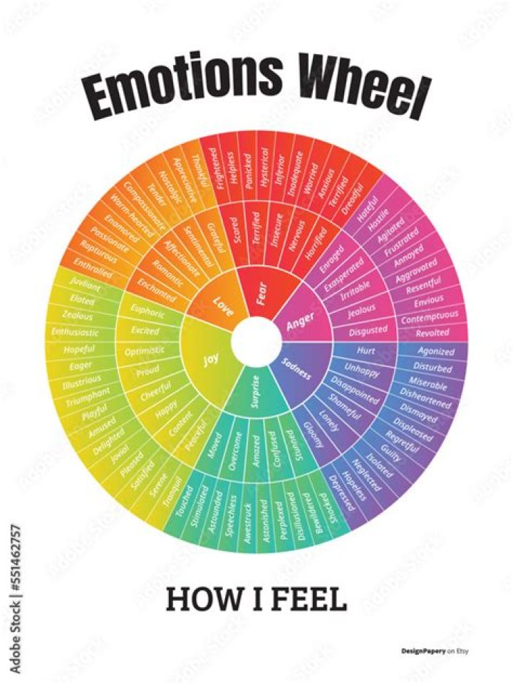 What are all the emotions you can feel?