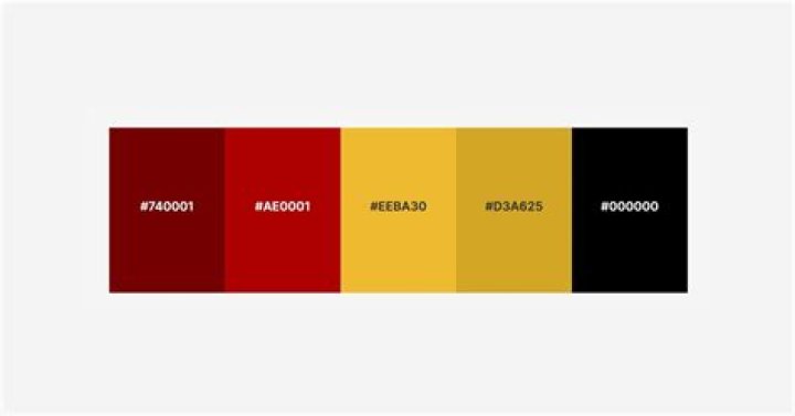 What are Gryffindor colors?