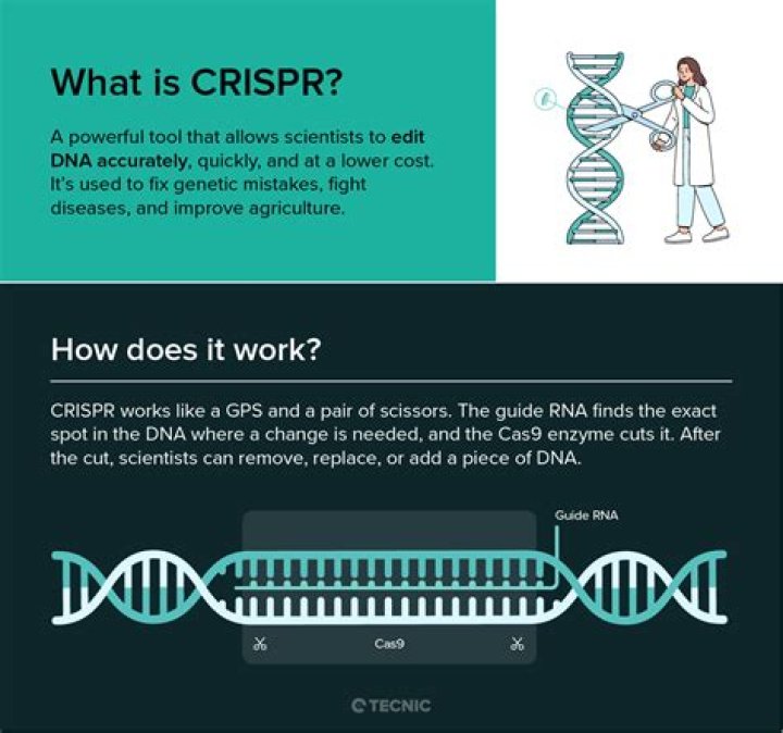 What are the Crispr twins?