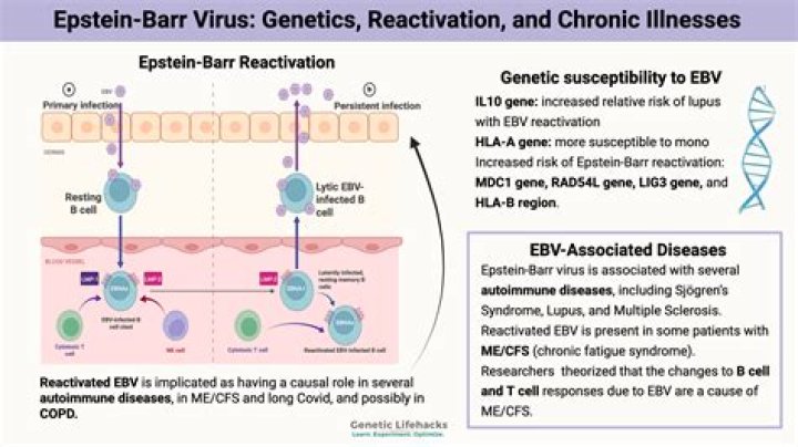 What blood test shows Epstein-Barr virus?