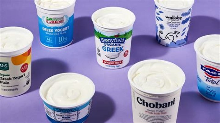 What brand of yogurt is best for diabetics?