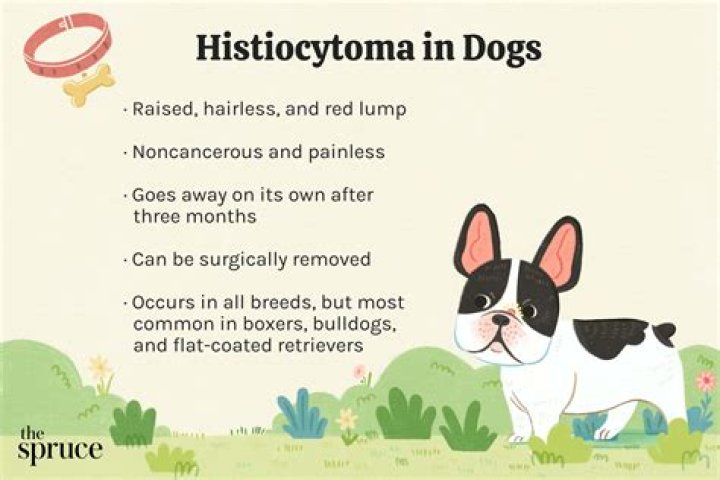What causes histiocytoma in humans?