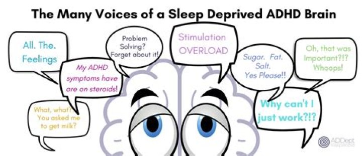 What do ADHD brains lack?
