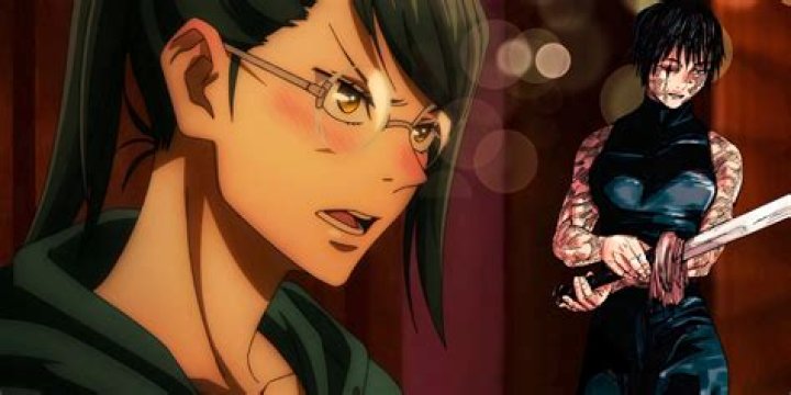 What does maki look like?