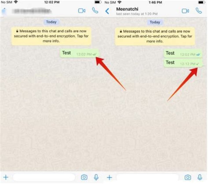 What does one tick mean on WhatsApp?