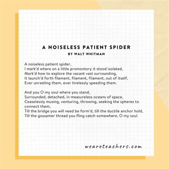 What does the spider symbolize in A Noiseless Patient Spider?