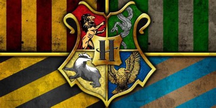 What Hogwarts house is Zendaya in?