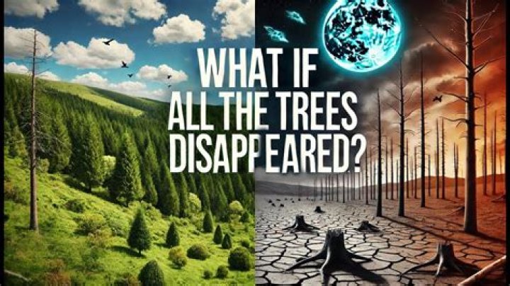 What if there were no trees?
