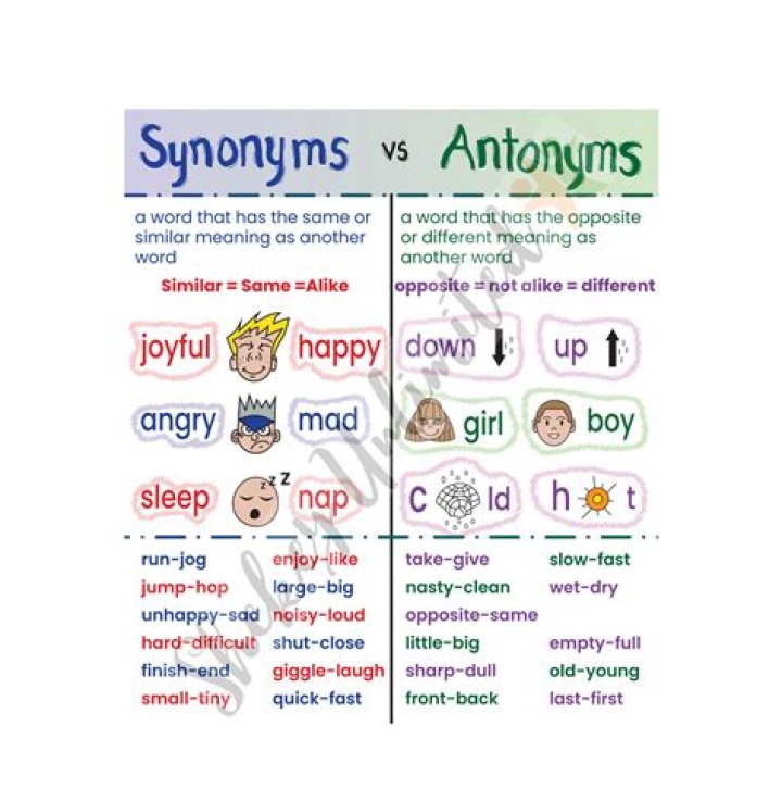 What is a synonym and antonym for pauper?