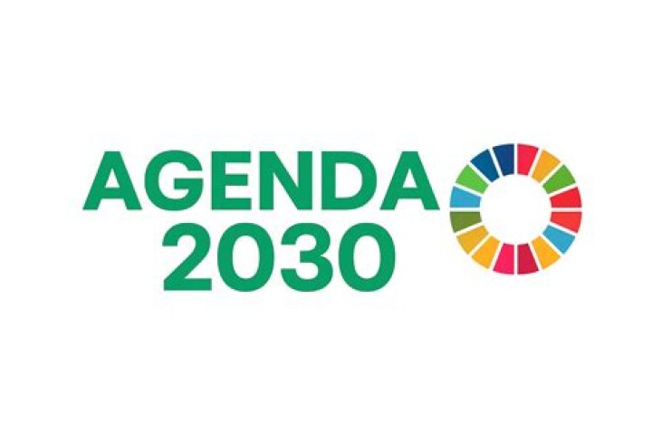 What is behind the 2030 Agenda?
