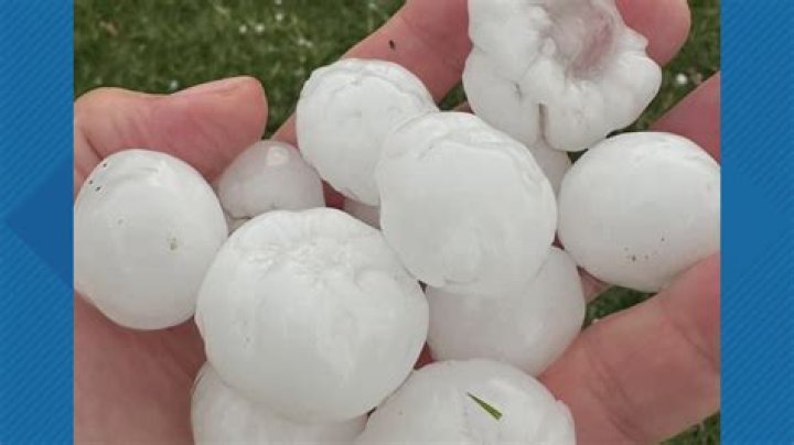 What is chip hailstones net worth?