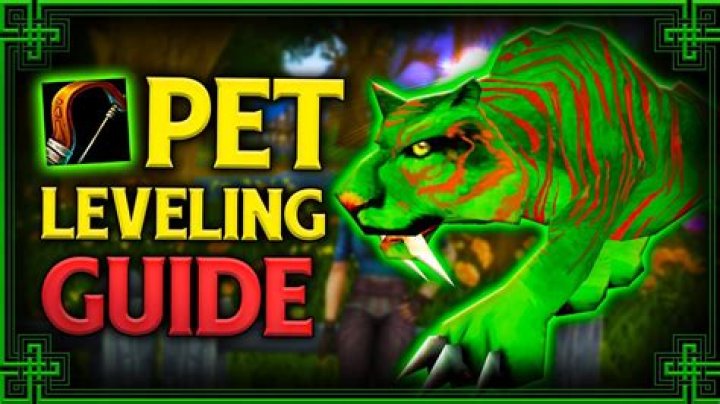 What is the best hunter pet for leveling?