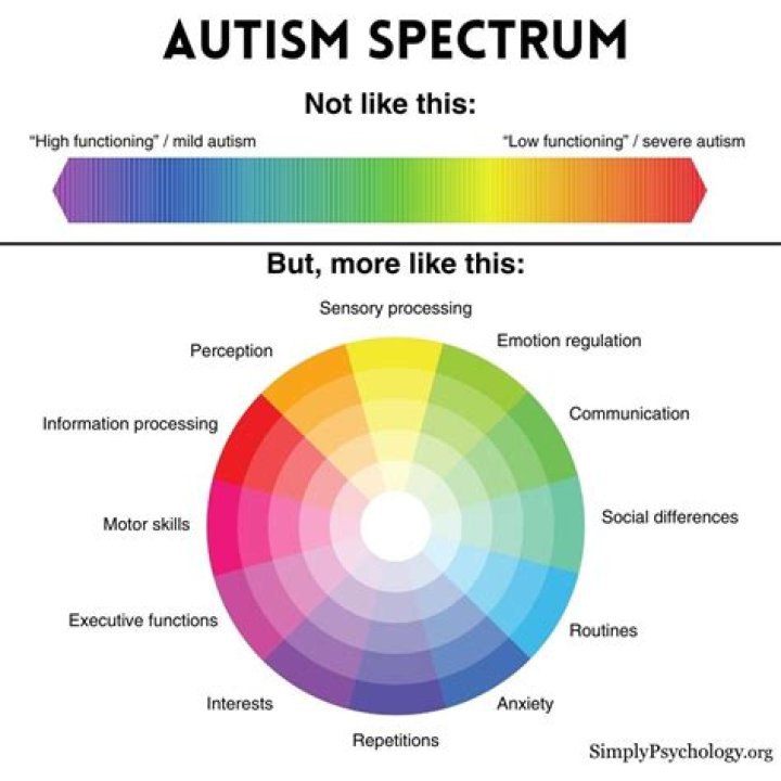 What is the legal definition of autism?