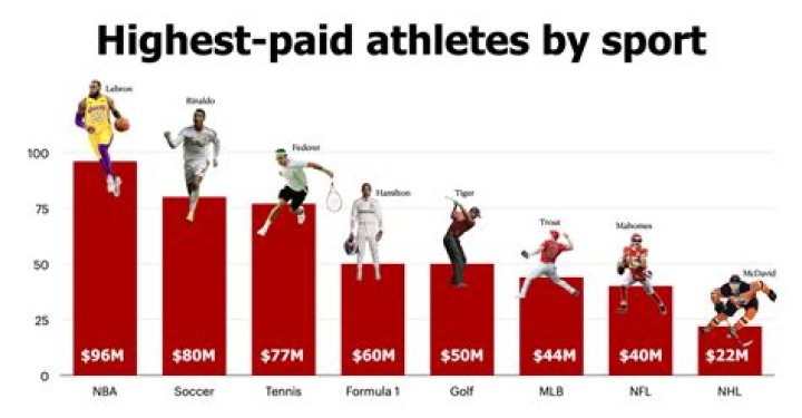What percentage of D3 athletes go pro?