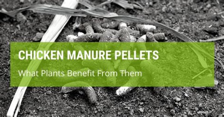 What plants benefit from chicken manure?