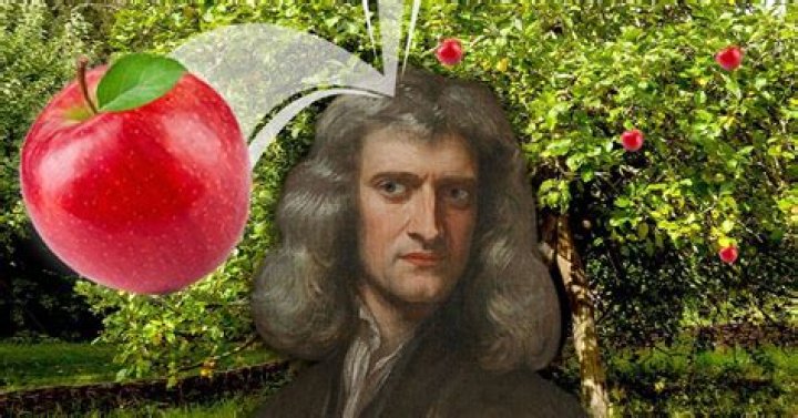 When did the apple fall on Isaac Newton's head?