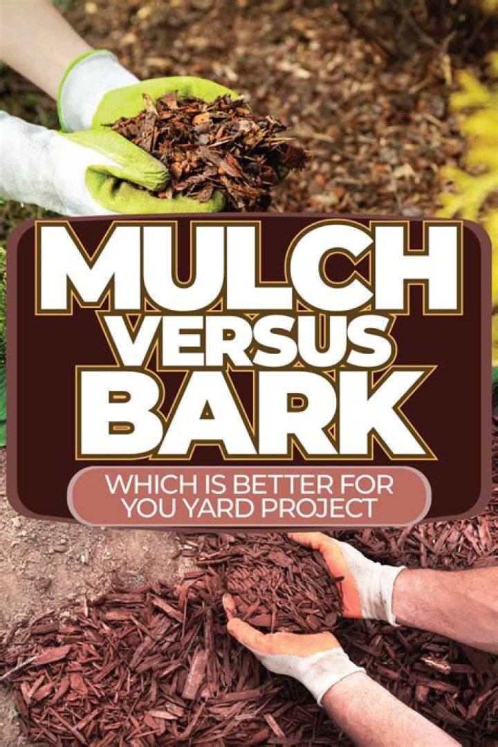 Which is better mulch or compost?