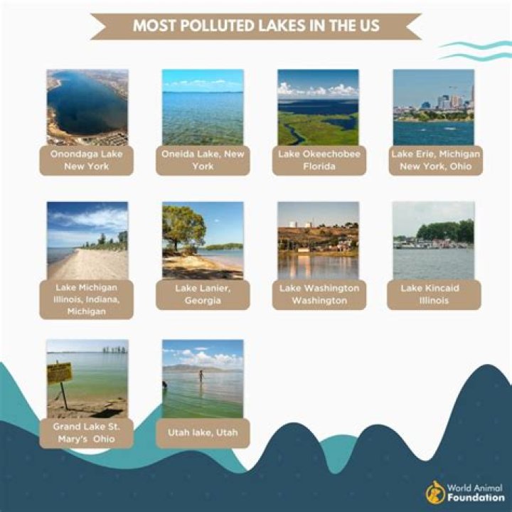 Which state has the most polluted lakes?