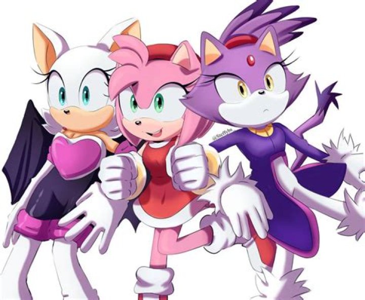 Who does Rouge the Bat have a crush on?