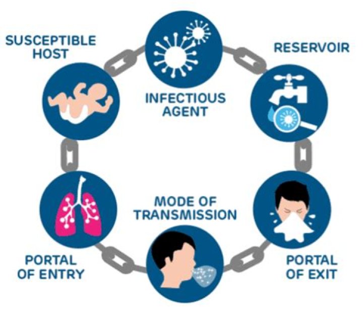 Who is more susceptible to norovirus?
