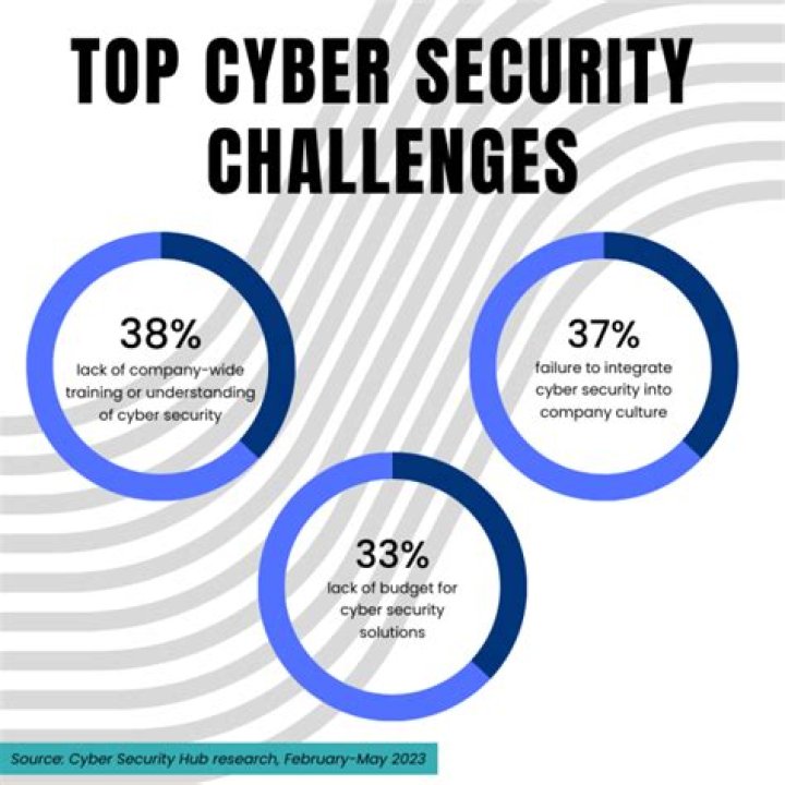 Who needs cyber security the most?