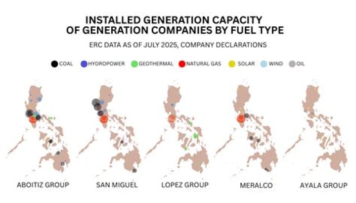 Who owns the power plants in the Philippines?