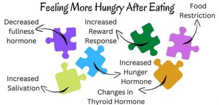 Why do I not feel hungry anymore?