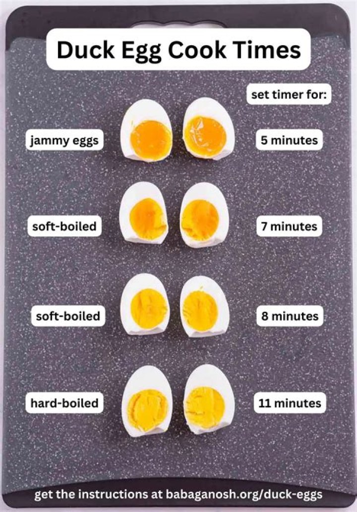 Why do we not eat duck eggs?