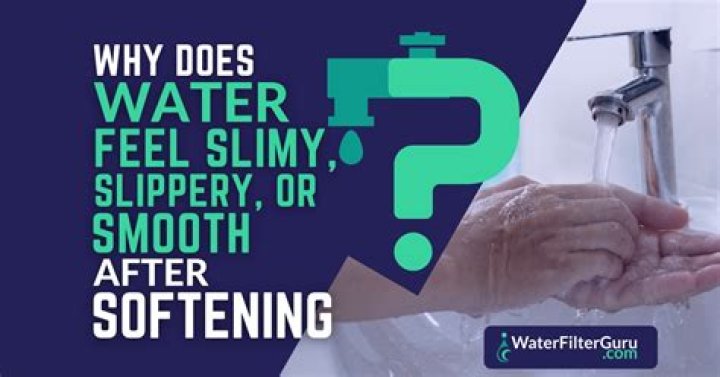 Why does my birds water get slimy?