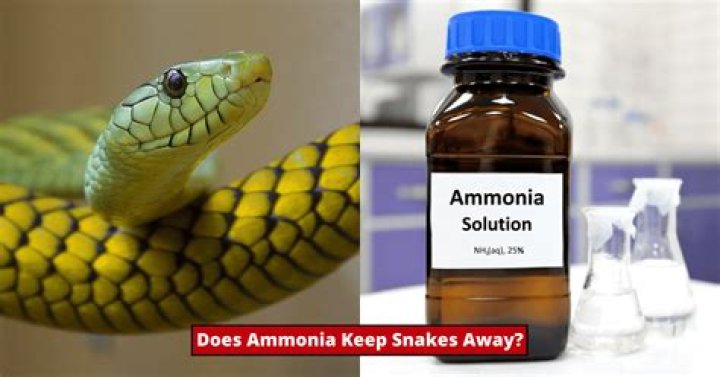 Will ammonia keep animals away?